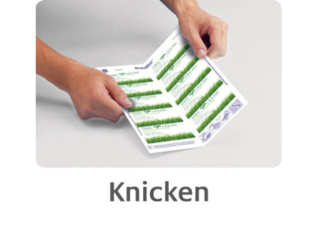 AVERY Zweckform Cartes de visite Quick & Clean, mat,260 g/m2