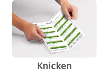 AVERY Zweckform Quick & Clean Cartes de visite, satinées