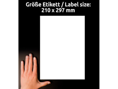 AVERY Zweckform Etiquette d'expédition, 210 x 297 mm,transp.
