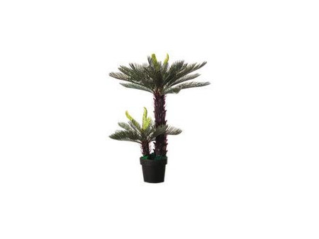 PAPERFLOW Plante artificielle 'Cycas', hauteur : 800 mm