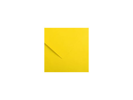 CANSON Papier Vivaldi, 500 x 650 mm, 240 g/m2, grenat