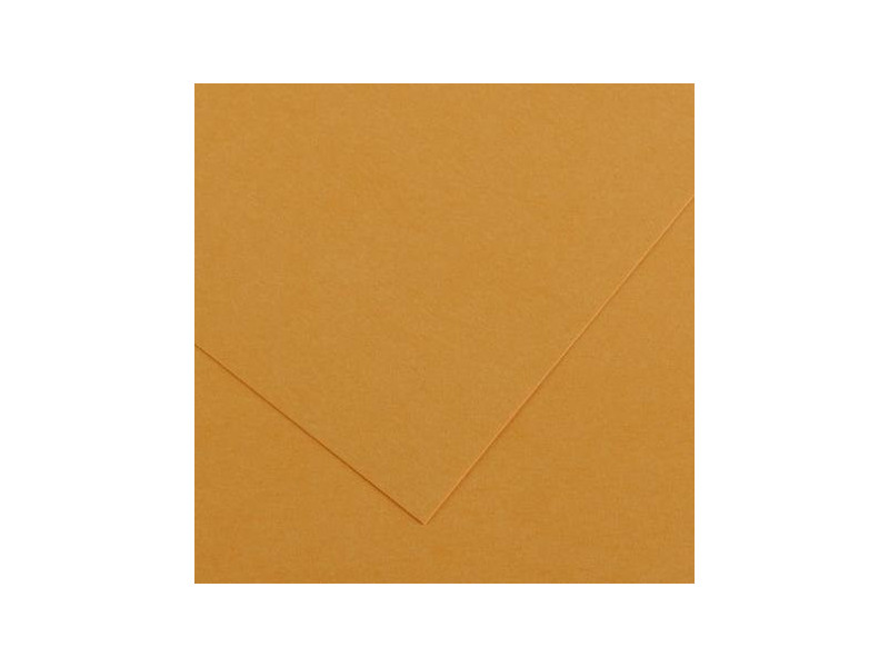 CANSON Papier Vivaldi, 500 x 650 mm, 240 g/m2, cuir
