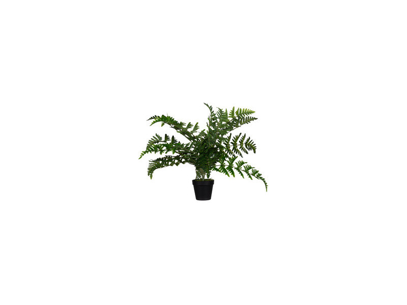 PAPERFLOW Plante artificielle 'fougère', hauteur: 550 mm