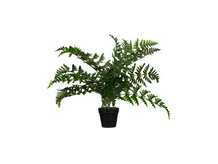PAPERFLOW Plante artificielle 'fougère', hauteur: 550 mm