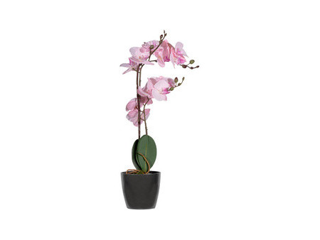 PAPERFLOW Plante artificielle 'orchidée', (H)500 mm, rose