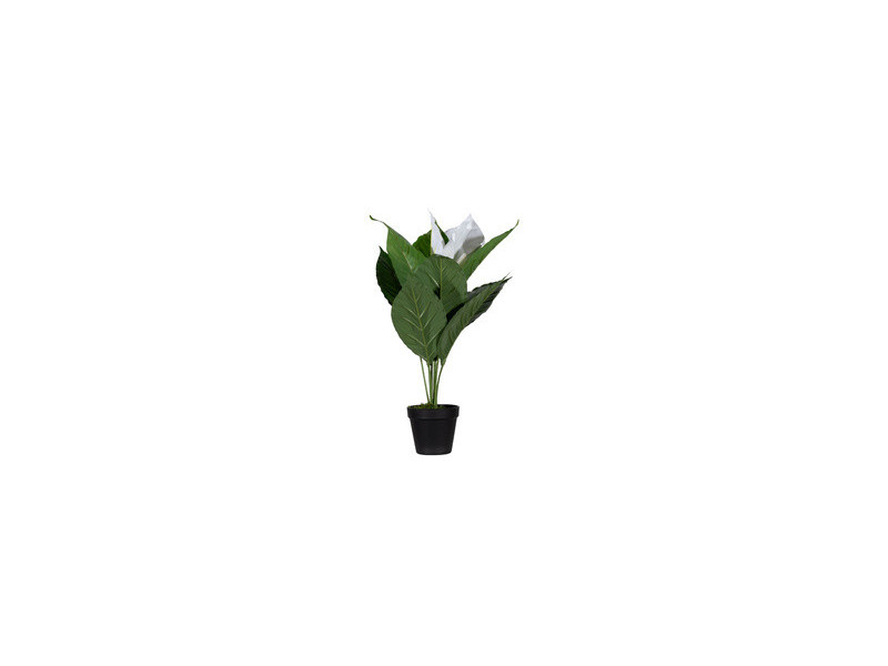 PAPERFLOW Plante artificielle 'fleur de lune', (H)550 mm
