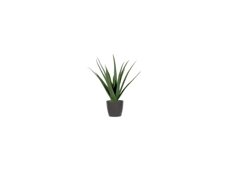 PAPERFLOW Plante artificielle 'aloe vera', hauteur: 450 mm