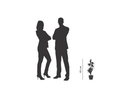 PAPERFLOW Plante artificielle 'fleurs de lys', (H)650 mm