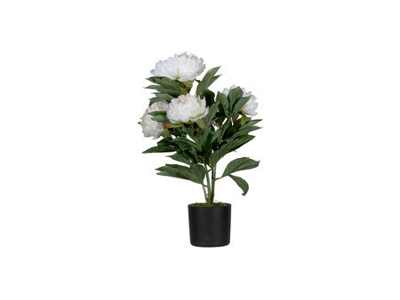 PAPERFLOW Plante artificielle 'pivoine', (H)550 mm, blanc