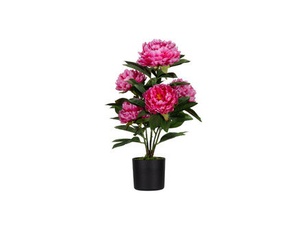 PAPERFLOW Plante artificielle 'pivoine', (H)550 mm, blanc