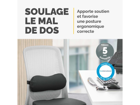 Fellowes Coussin lombaire Breyta, noir