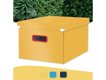 LEITZ Boîte de rangement Click & Store Cosy M, jaune