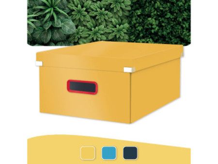 LEITZ Boîte de rangement Click & Store Cosy L, jaune