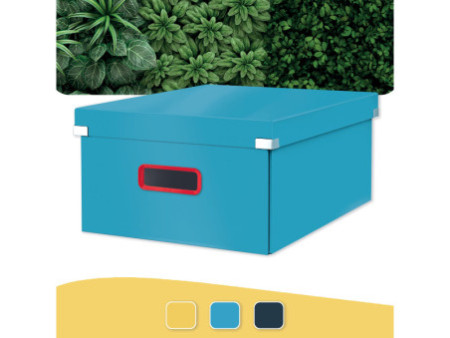 LEITZ Boîte de rangement Click & Store Cosy L, bleu