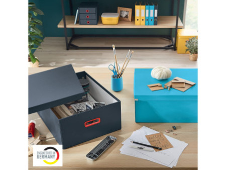 LEITZ Boîte de rangement Click & Store Cosy L, gris