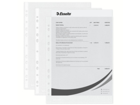 Esselte Pochette perforée Economy, A4, PP, grainé