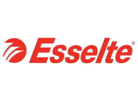 Esselte Porte-revues VIVIDA, A4, carton, vert, dos: 100 mm