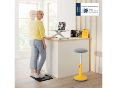 LEITZ Réhausseur assis-debout Ergo Cosy, gris clair