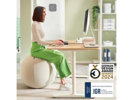 LEITZ Ballon d'assise Ergo Active, diamètre: 550 mm, gris