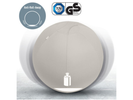 LEITZ Ballon d'assise Ergo Active, diamètre: 550 mm, gris