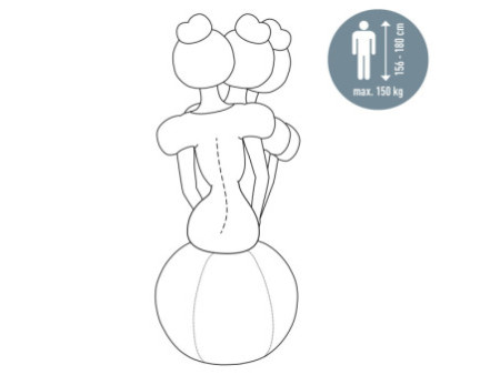 LEITZ Ballon d'assise Ergo Active, diamètre: 650 mm, gris