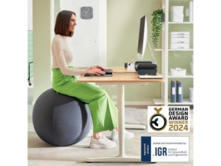 LEITZ Ballon d'assise Ergo Active, diamètre: 750 mm, gris