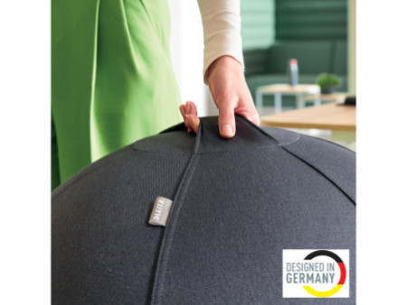 LEITZ Ballon d'assise Ergo Active, diamètre: 750 mm, gris