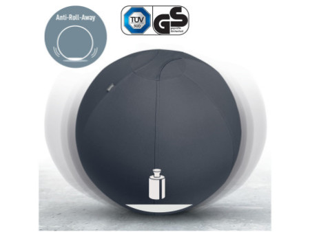 LEITZ Ballon d'assise Ergo Active, diamètre: 750 mm, gris