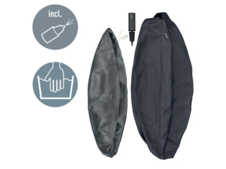 LEITZ Ballon d'assise Ergo Active, diamètre: 750 mm, gris