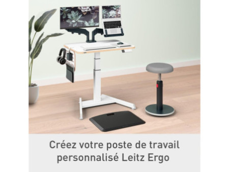 LEITZ Panneau organiseur de bureau, petit, blanc