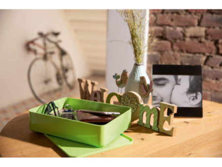 HAN Boîte de rangement SMART-ORGANIZER ALLISON, flamingo