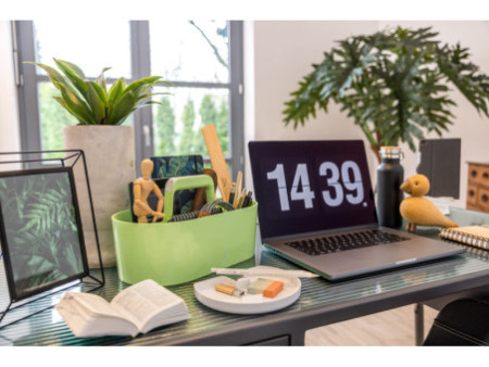HAN Boîte d'organisation TOOLBOX LOFT, limegreen