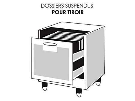 ELBA l'oblique Dossiers suspendus POLYPRO ULTIMATE, jaune