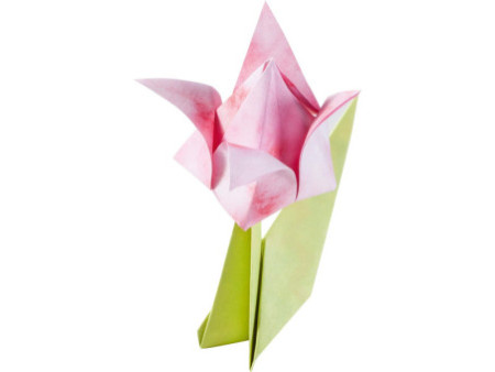 folia Feuille de papier à plier FLEURS, 170 feuilles