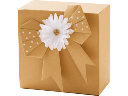 folia Papier kraft, 120 g/m2, A4, 100 feuilles