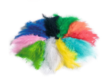 folia Plumes soyeuses, 100 g, assorti