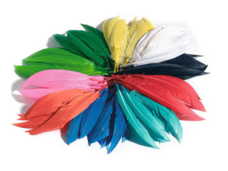 folia Plumes d'indiens, 100 g, assorti