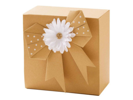 folia Papier kraft, 230 g/m2, A5, 50 feuilles