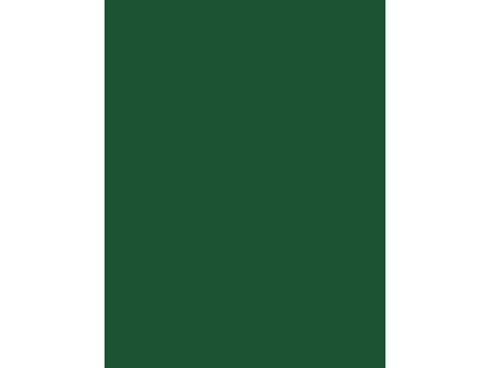 folia Carton de bricolage, (L)1.000 x (H)700 mm, vert sapin