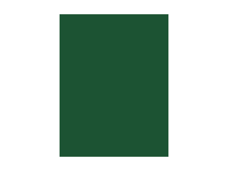 folia Carton de bricolage, (L)1.000 x (H)700 mm, vert sapin