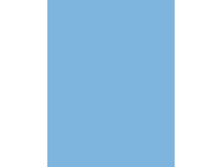 folia Carton de bricolage, (L)1.000 x (H)700 mm, blanc perle