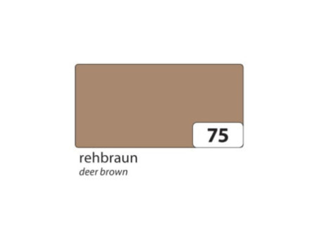 folia Carton de bricolage, (L)1.000 x (H)700 mm, fauve