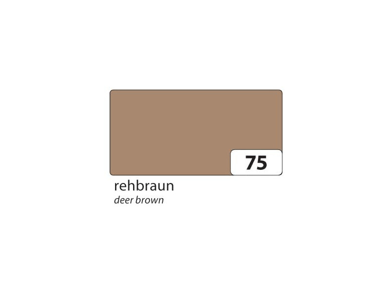 folia Carton de bricolage, (L)1.000 x (H)700 mm, fauve