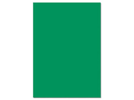 folia Carton de couleur, (L)500 x (H)700 mm, vert mousse