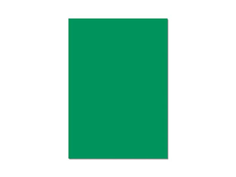 folia Carton de couleur, (L)500 x (H)700 mm, vert mousse