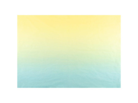 folia Papier de soie, 500 x 700 mm, 20 g/m2