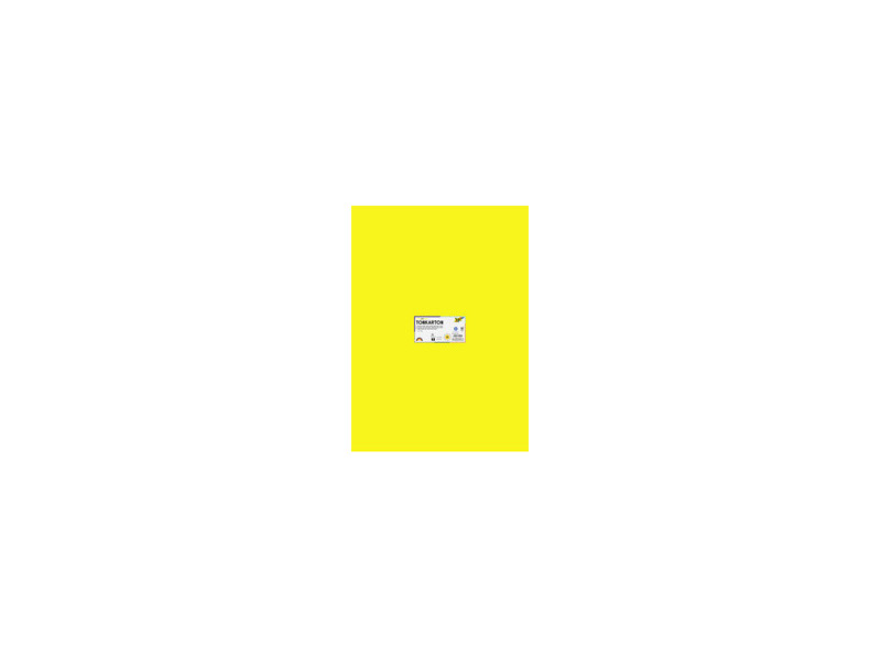 folia Carton de couleur, (L)500 x (H)700 mm, assorti