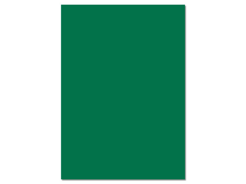 folia Carton de couleur, (L)500 x (H)700 mm, vert sapin