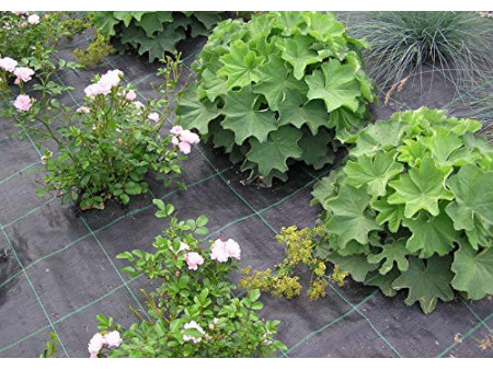 TerCasa Toile anti mauvaises herbes, 2 x 5 m, noir