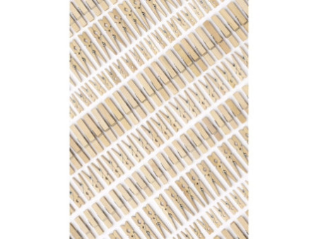folia Mélange de pinces en bois NATURAL Jumbobox, 500 g